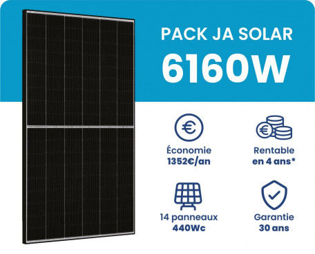 Palette de panneau solaire 400W monocristallin 26 unités