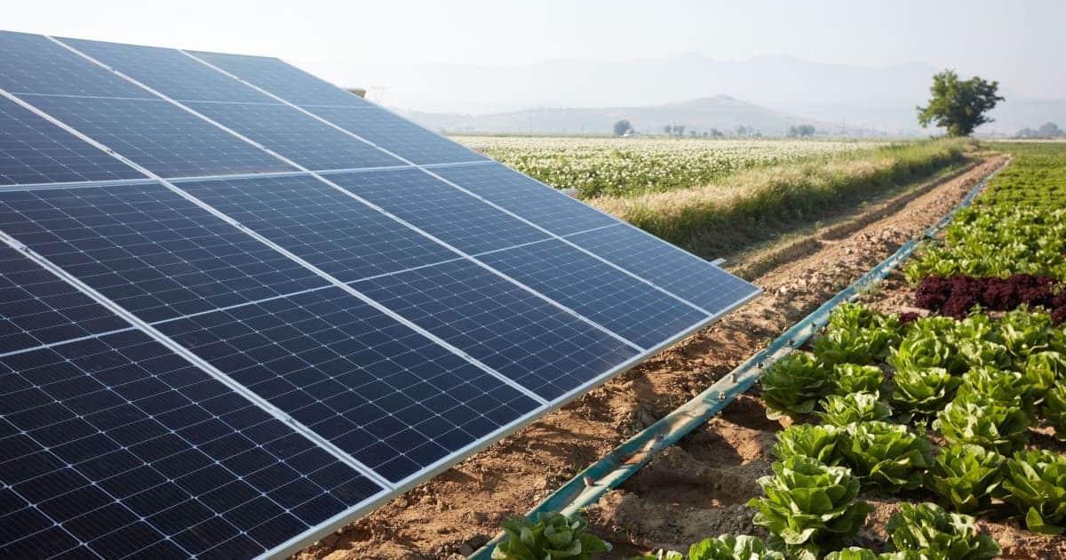 Le photovoltaïque dans le secteur agricole