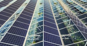 Serres photovoltaïques à grande échelle